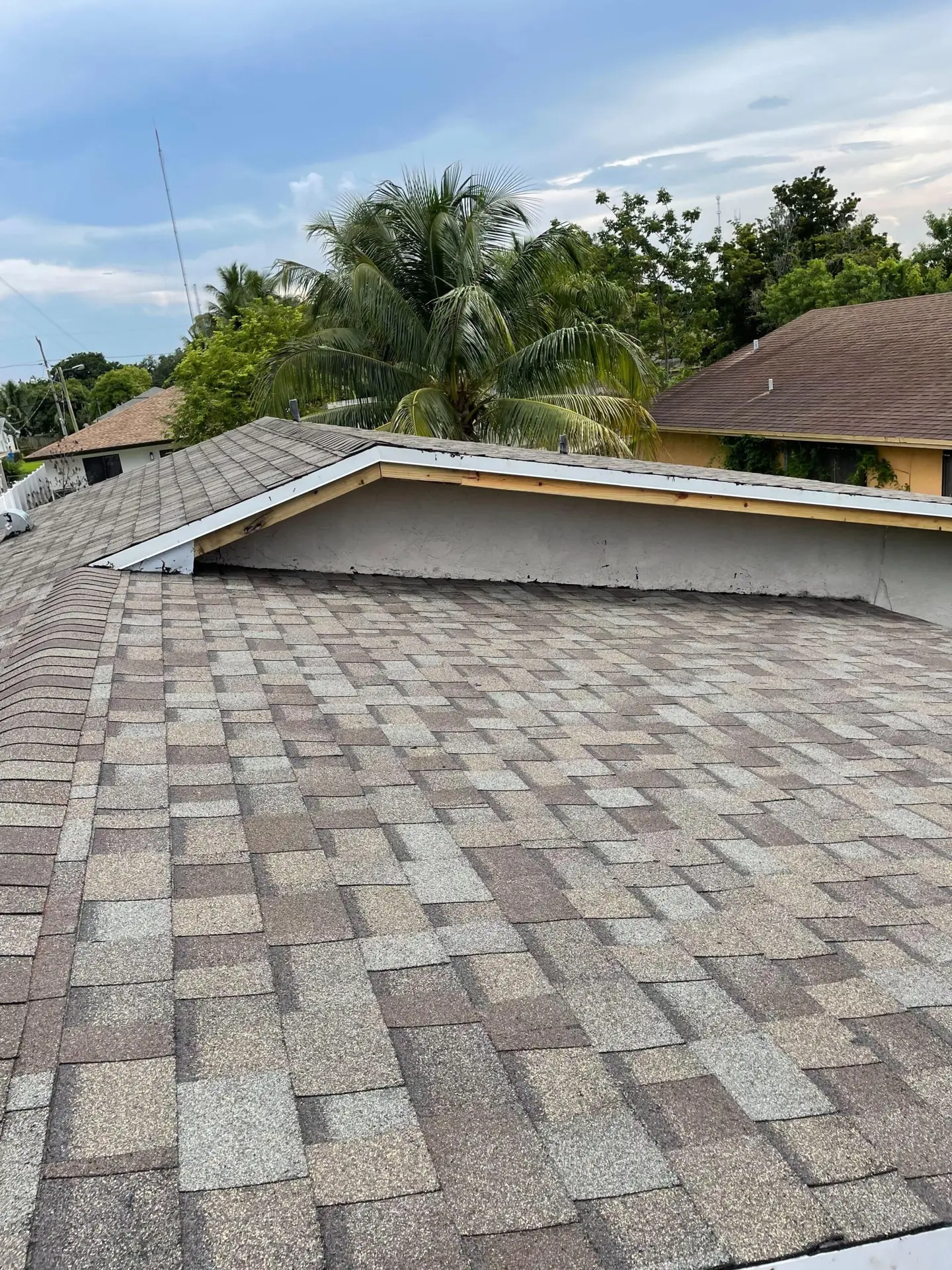 Joan's roof in broward 1