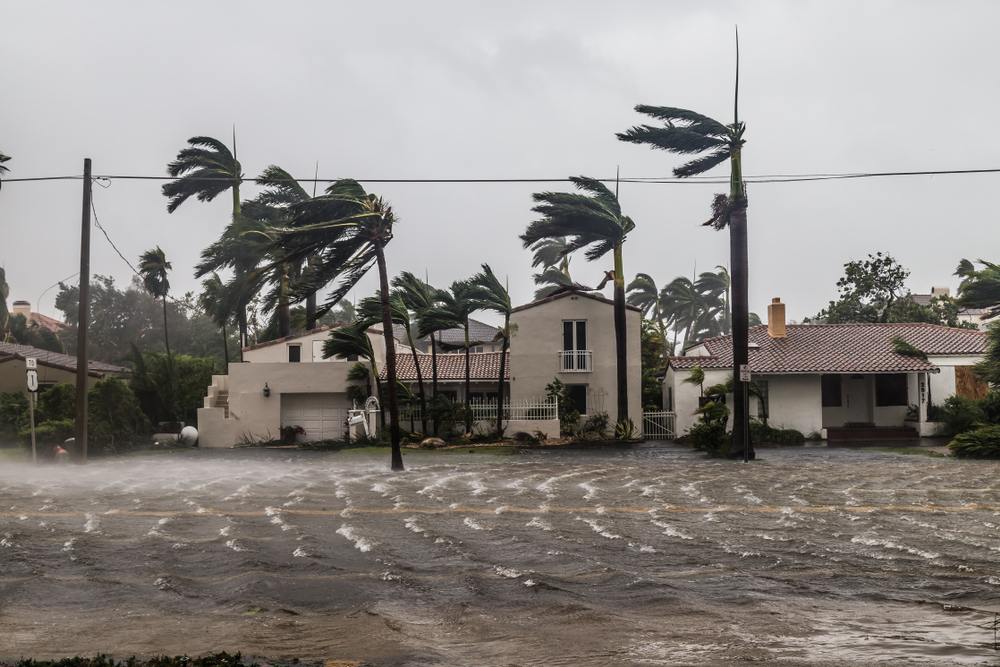 Hurricane winds blowing trees and houses.