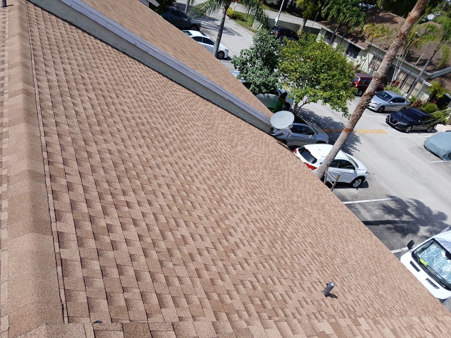 New Shingle Roof