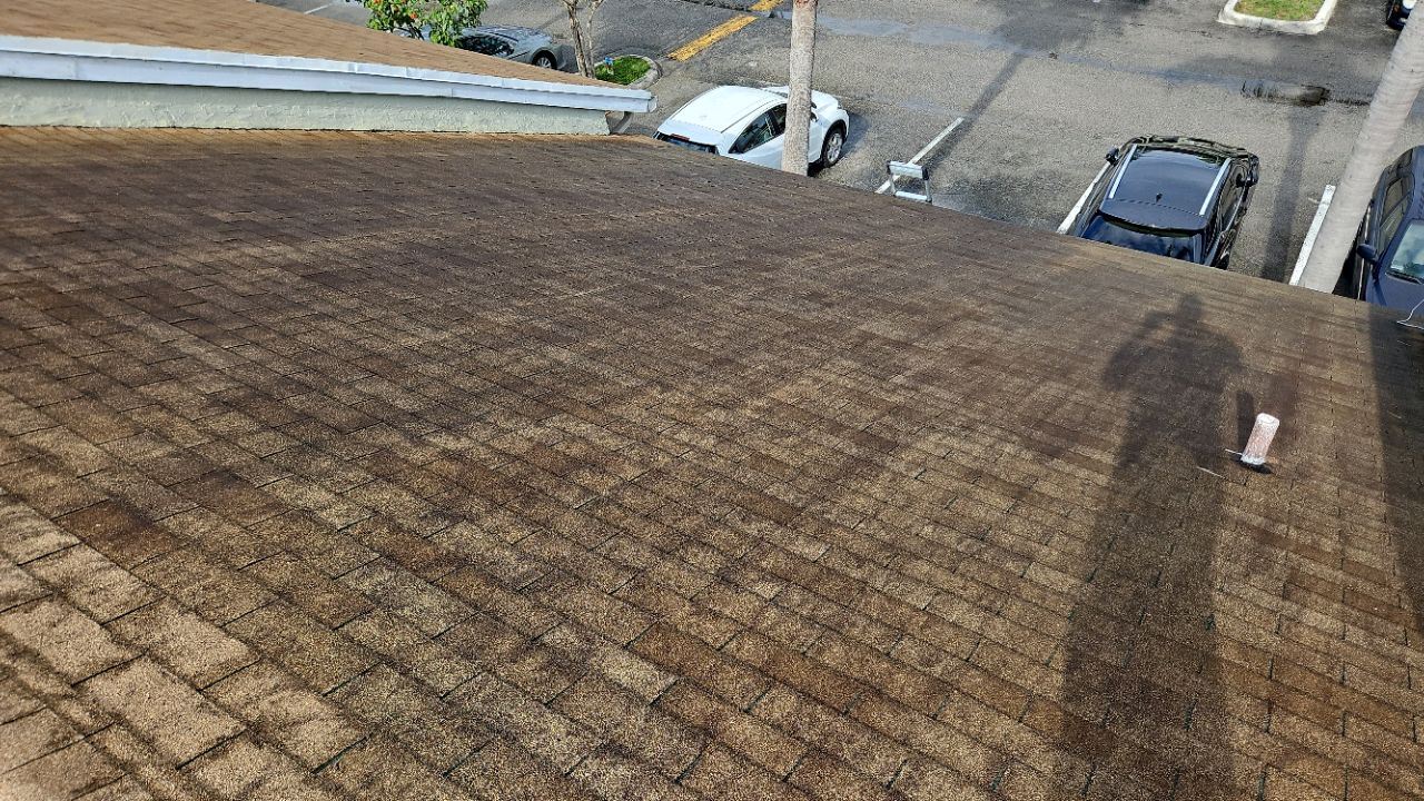Old Shingle Roof