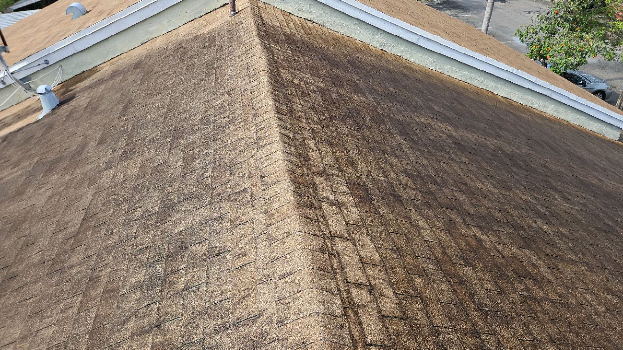 Old Shingle Roof