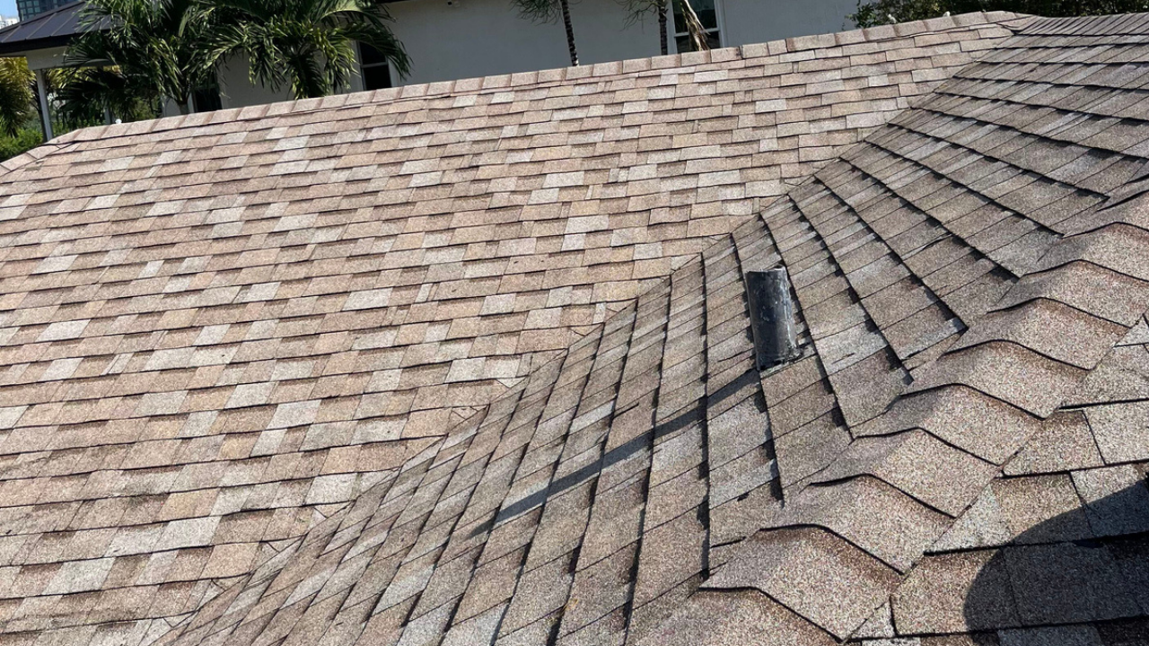 Shingle Roof