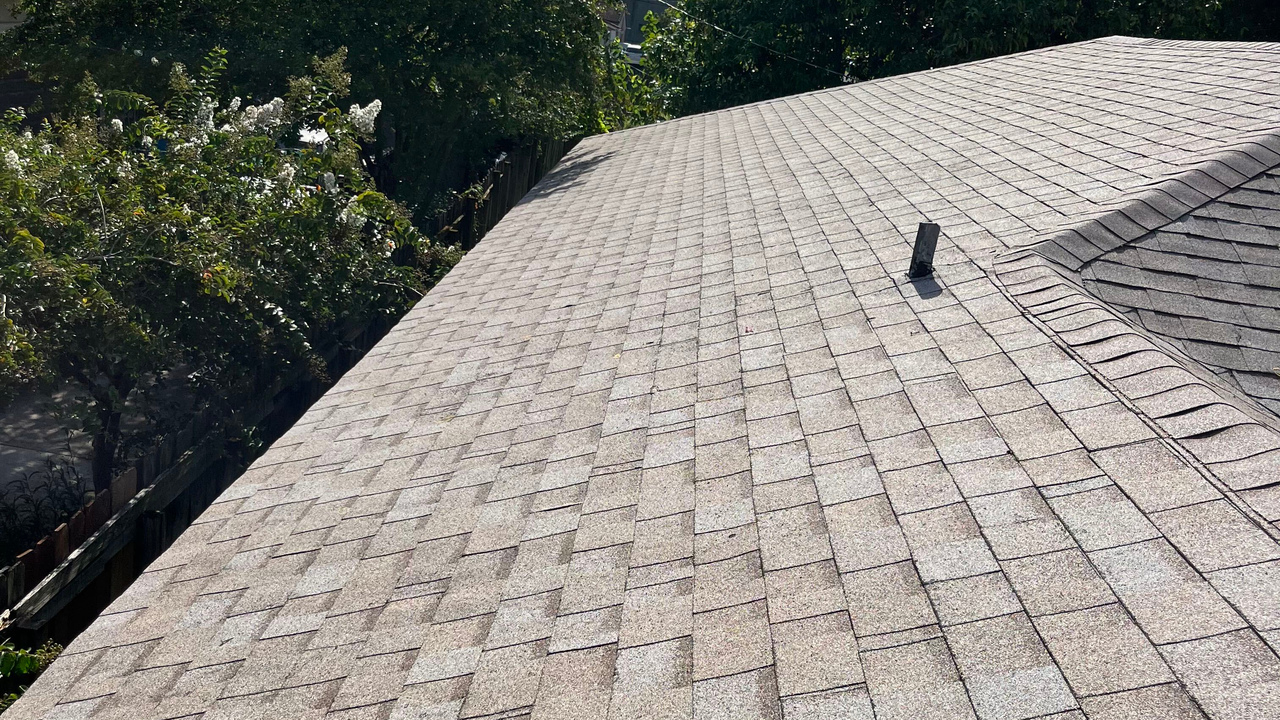 Shingle Roof