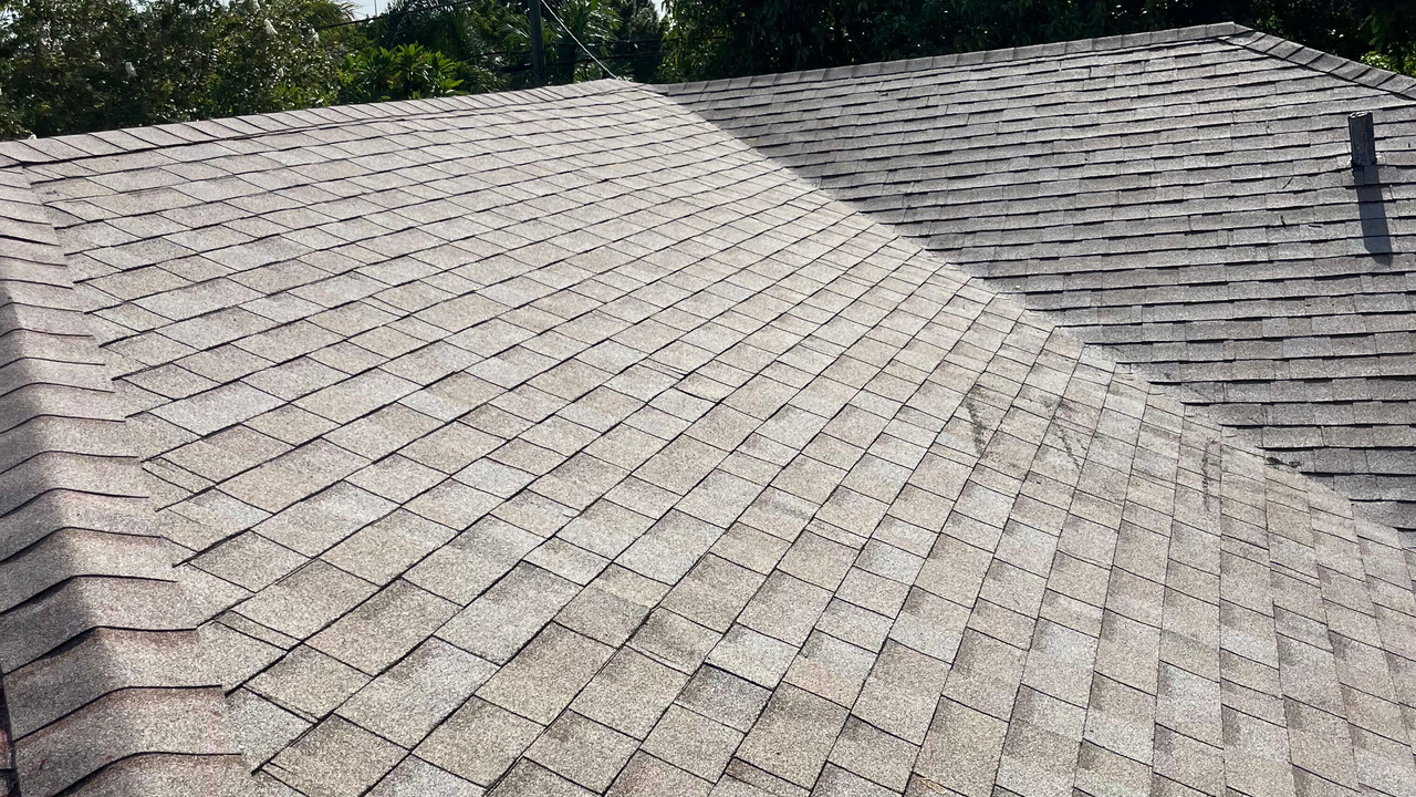 Shingle Roof